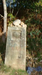 DSC06032