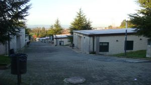 DSC06038